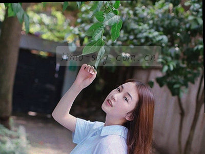 目录版式示意图，展示条目编号与标题
