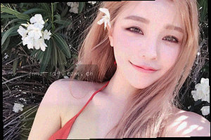 抽象几何图形，代表不同分区